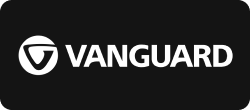 Vanguard logo Vanguard logo
