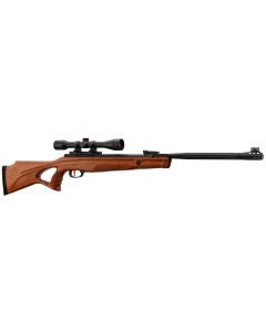 Carabina BEEMAN 10620 con Visor 6x40