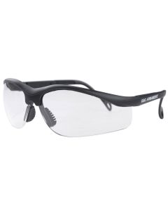 Gafas de protección G&G lentes transparentes