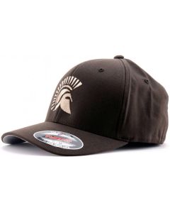 Gorra FLEXFIT Molon Labe