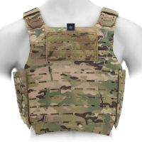 Chaleco porta placas BLUE FORCE GEAR PLATEminus 6 Multicam