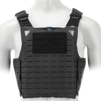 Chaleco porta placas BLUE FORCE GEAR PLATEminus 6 negro