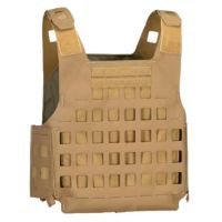 Chaleco porta placas BLUE FORCE GEAR PLATEminus V2