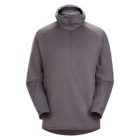 Forro polar ARCTERYX Delta AR Half Zip Hoody Wolf Gray