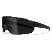 Gafas EDGE Tactical ARC Light 2 lentes