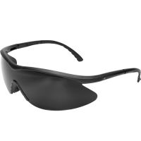 Gafas EDGE Tactical Fastlink negras