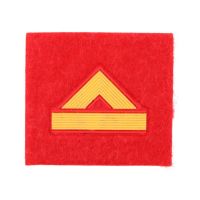 Parche IMMORTAL WARRIOR Gimnasia Cabo Mayor Ejercito de Tierra rojo