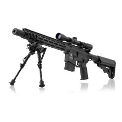 SR25