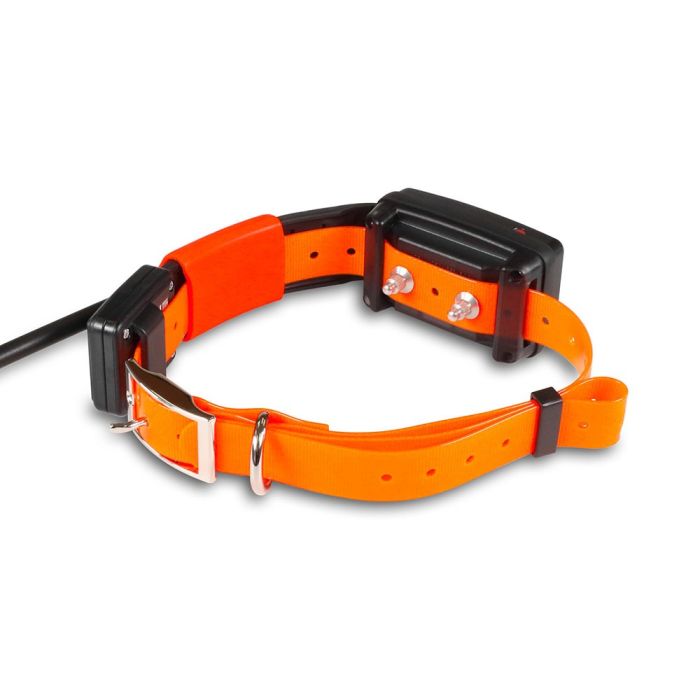 Collar SHORT Adicional X25-T de Dogtrace, con módulo educativo y funciones avanzadas. Sumergible, con autonomía de 40-50 horas.