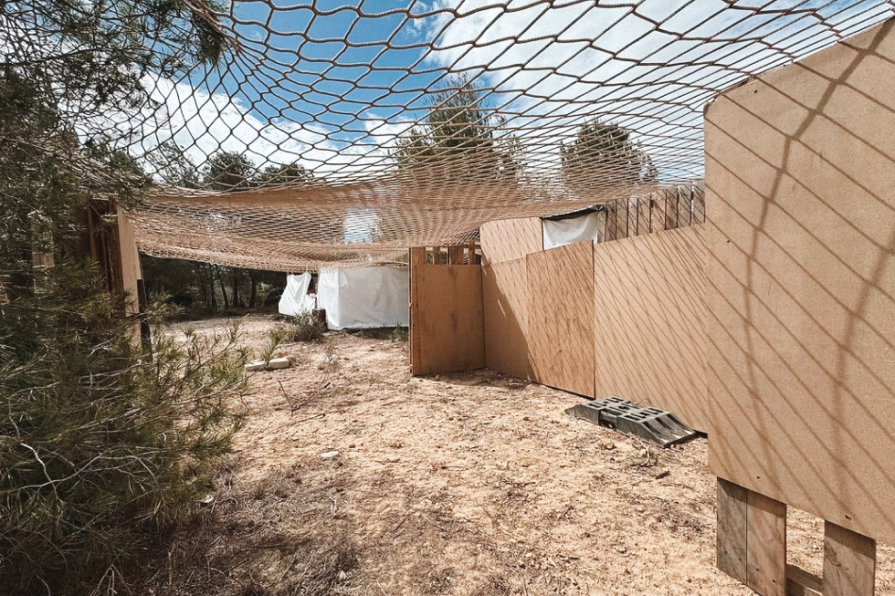 Escenario de airsoft Favelas con pasillos de tierra, barricadas de madera y redes superiores.